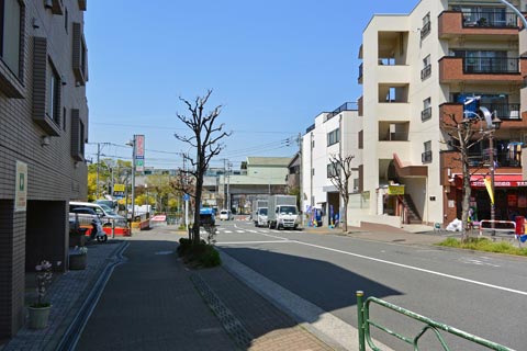 和泉多摩川通り写真画像