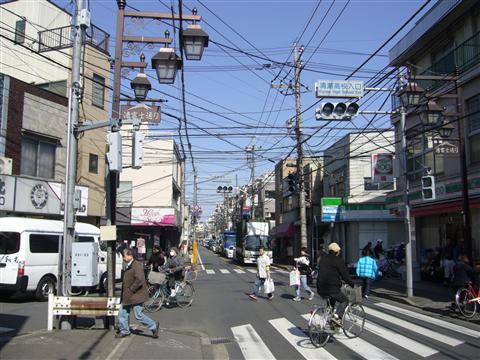 清富士通り(小金井街道)写真画像