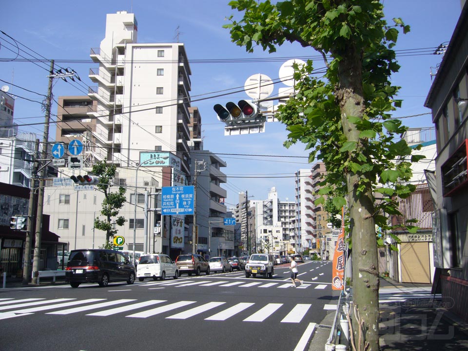 平戸桜木道路