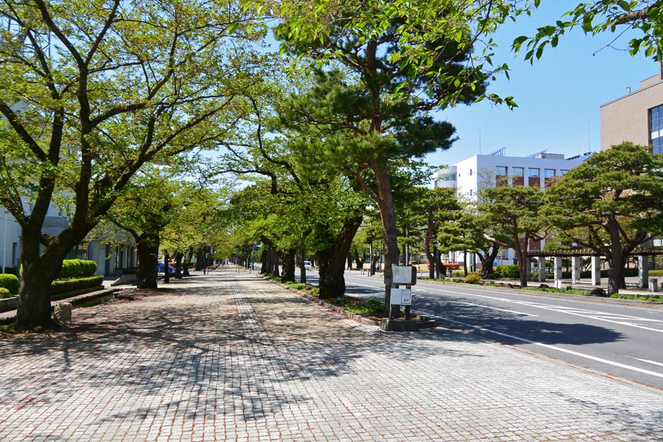 官庁街通り（駒街道）