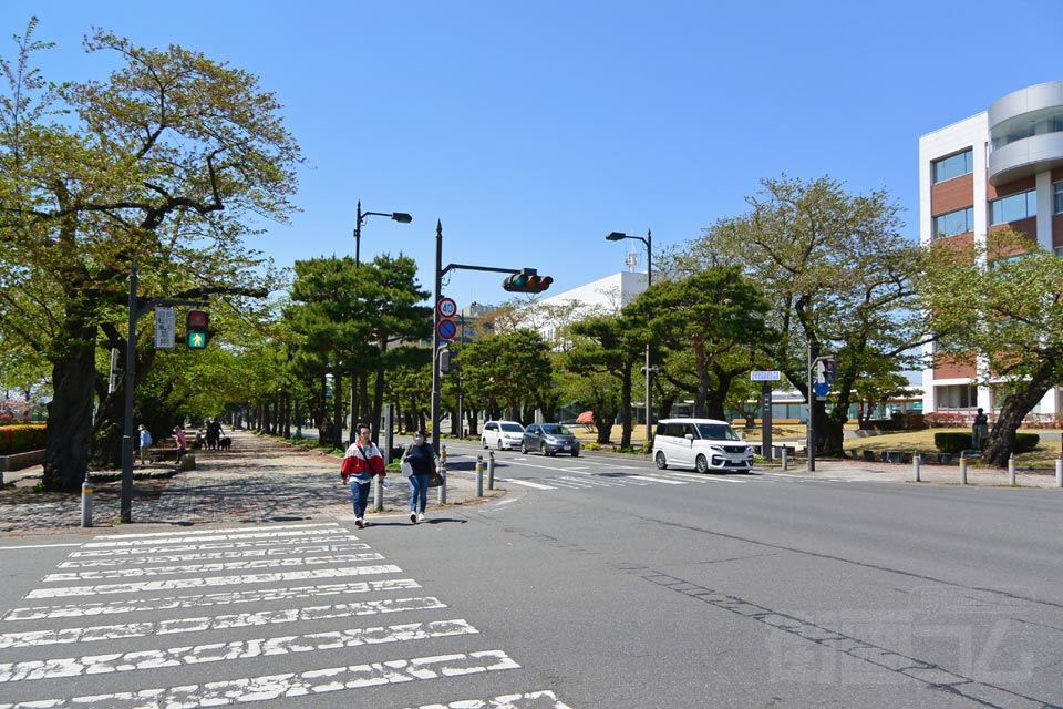 官庁街通り（駒街道）