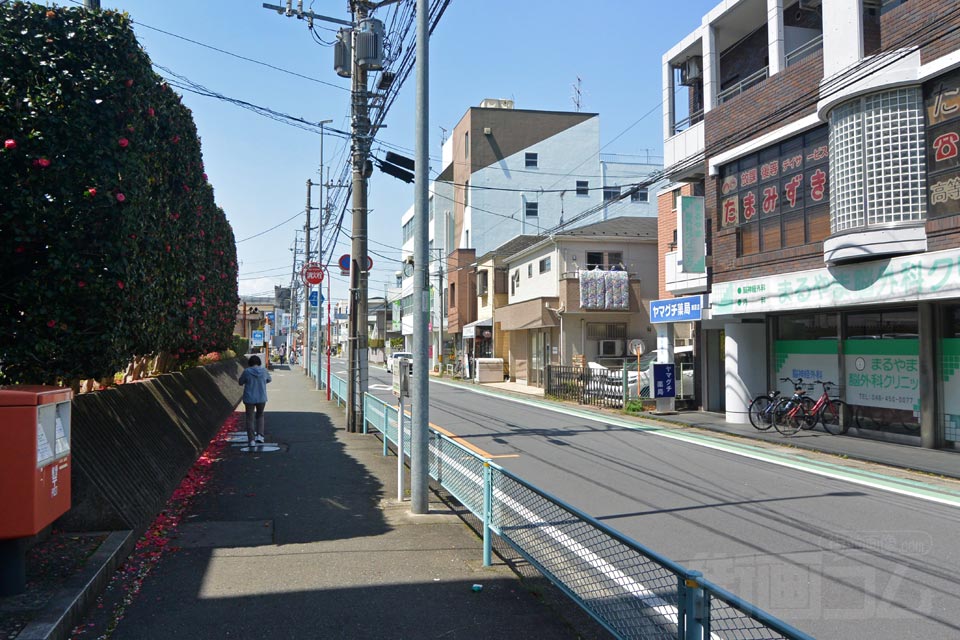 市役所通り