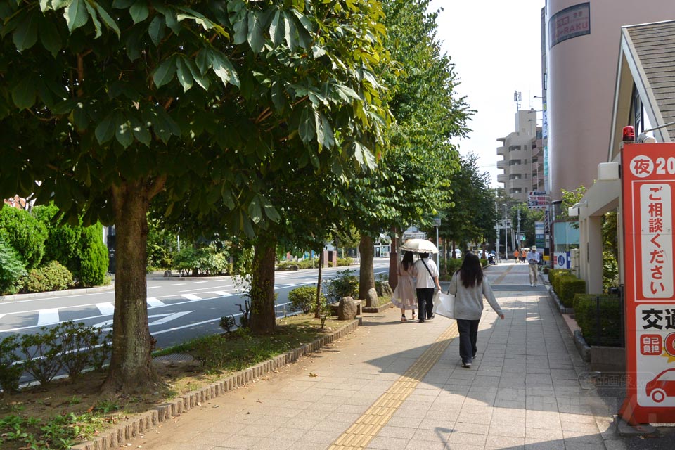 千葉県道195号我孫子停車場線