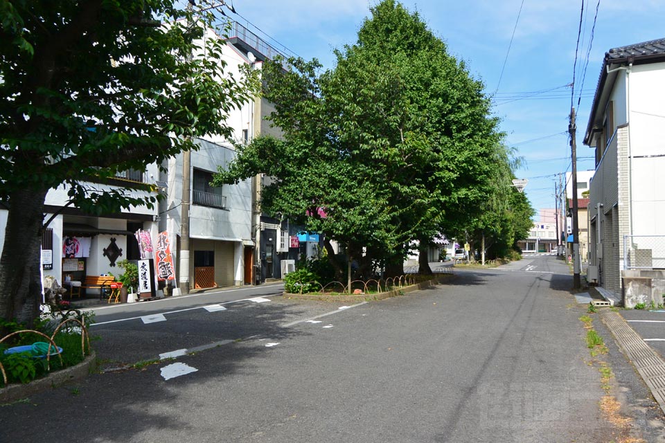 新生仲通り