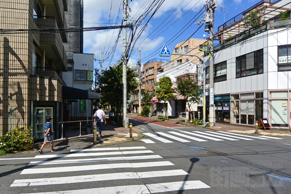 はっけん通り