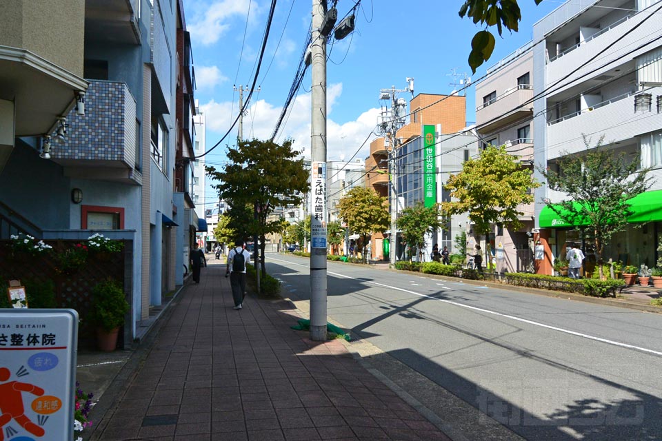 はっけん通り