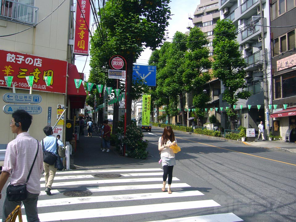 旧白山通り(薬師坂)
