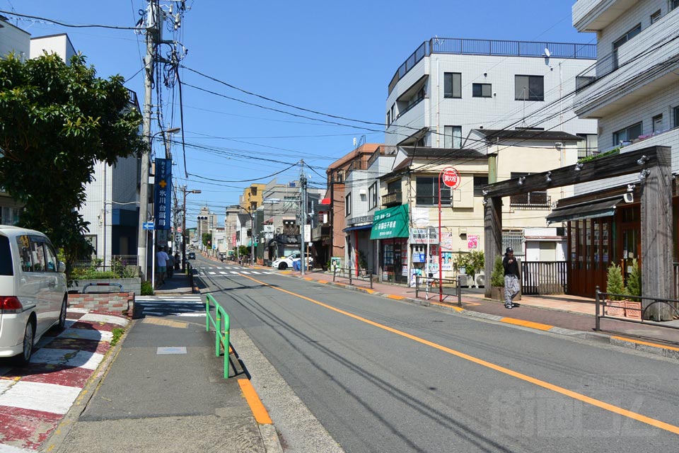 城北公園通り