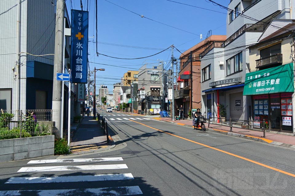 城北公園通り