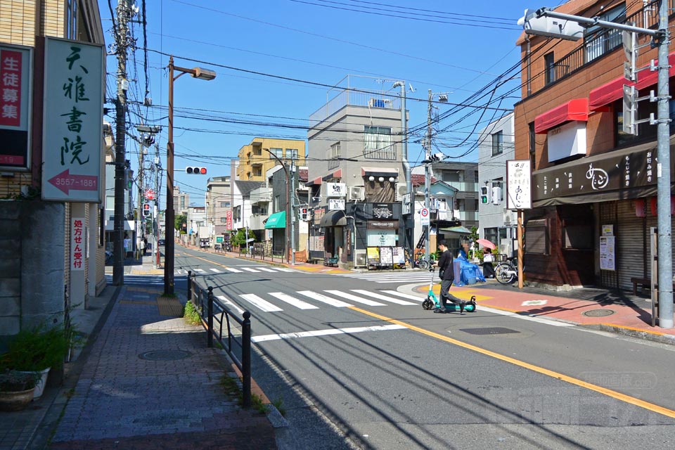 城北公園通り