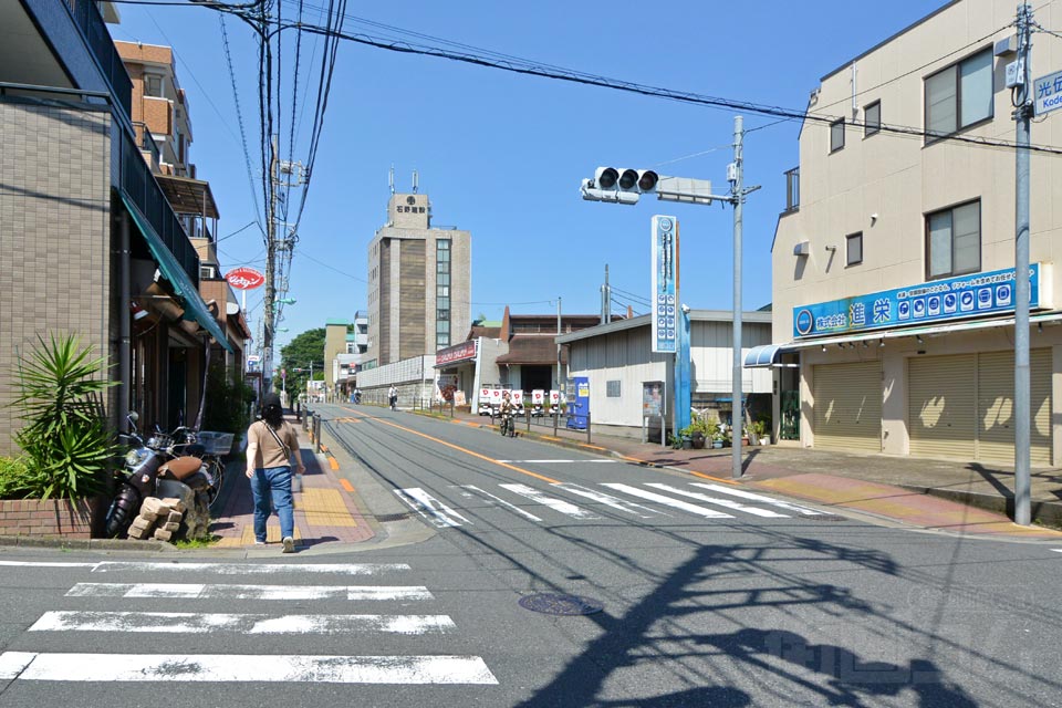 城北公園通り