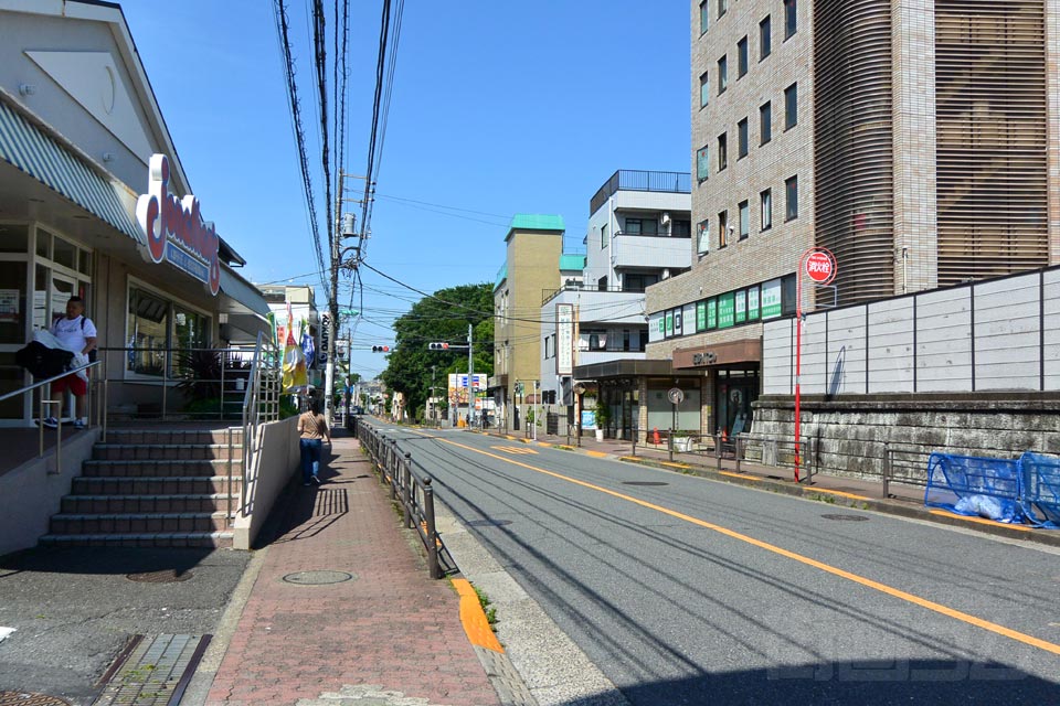 城北公園通り
