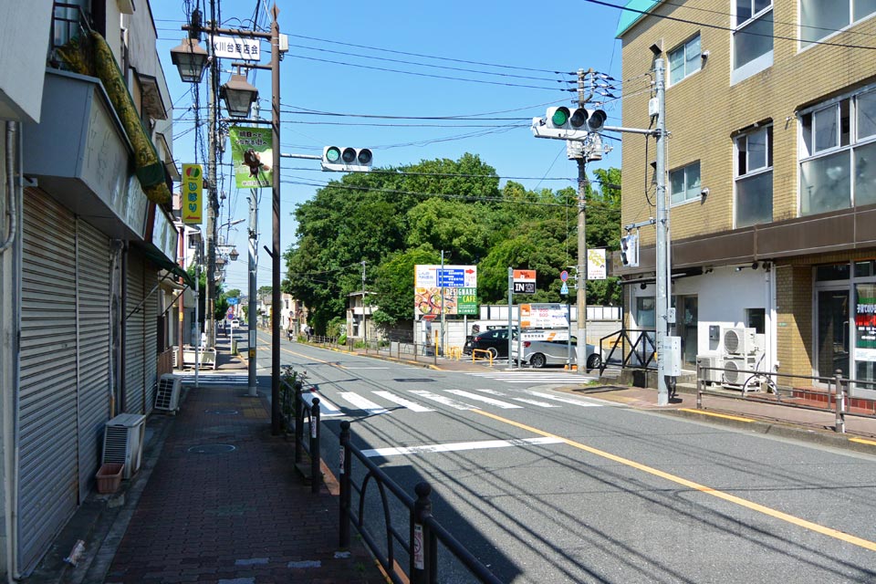 城北公園通り