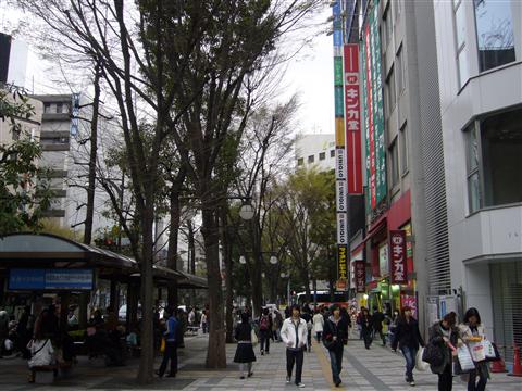 グリーン大通り