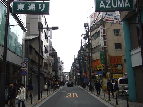 東通り