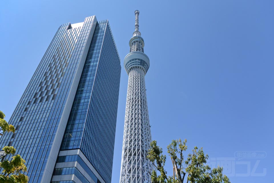 東京スカイツリー