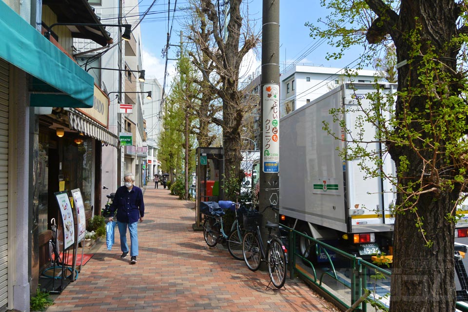 世田谷通り