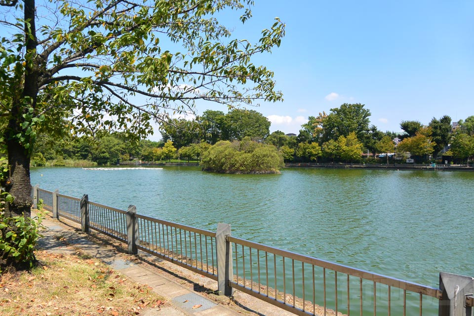 浮間公園 浮間ヶ池