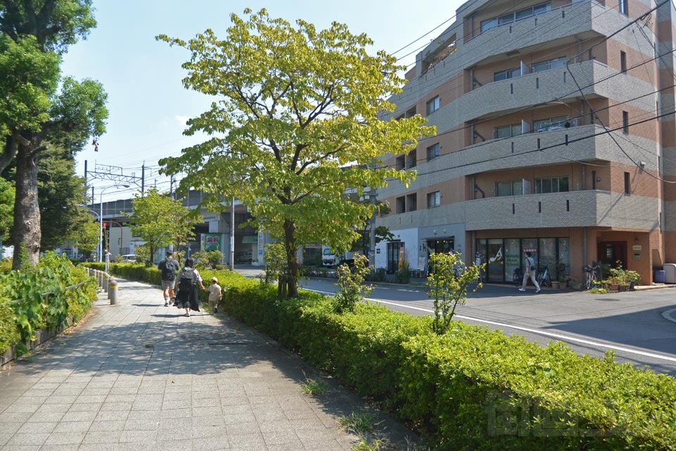 東京都道447号赤羽西台線