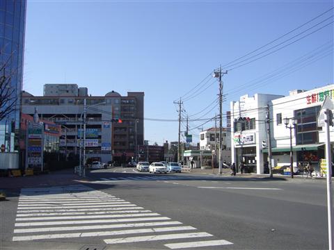 桜街道写真画像