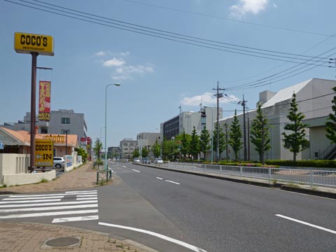 鶴川街道(都道１９号線)写真画像