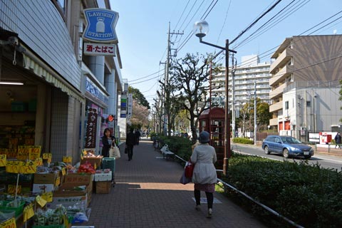 狛江通り写真画像