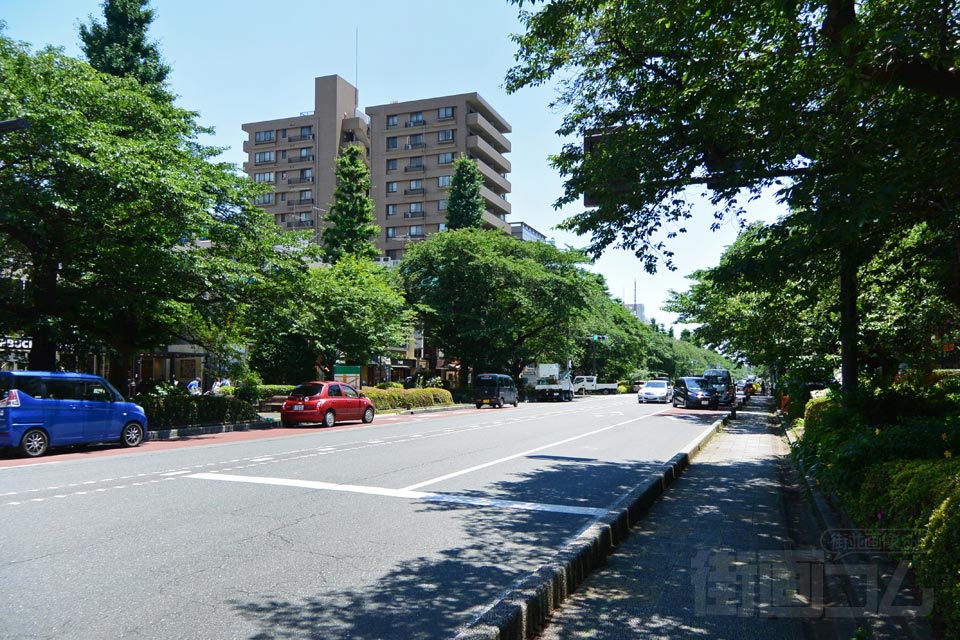 大学通り（東京都道146号線）