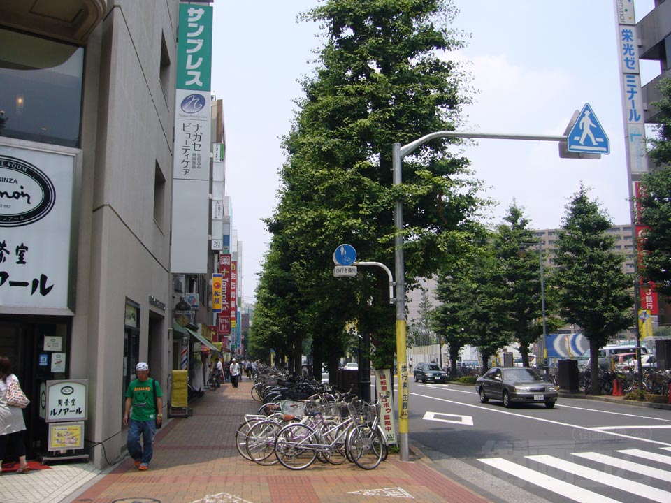 中央通り