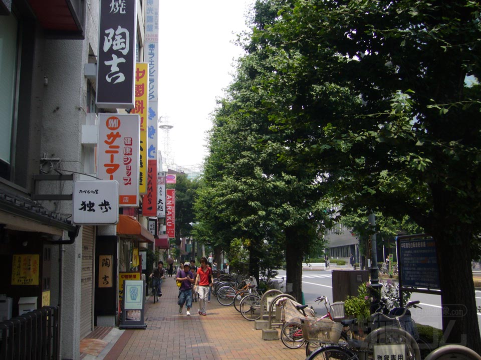 中央通り