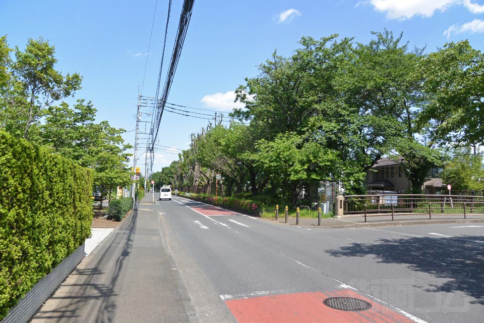 上水北通り