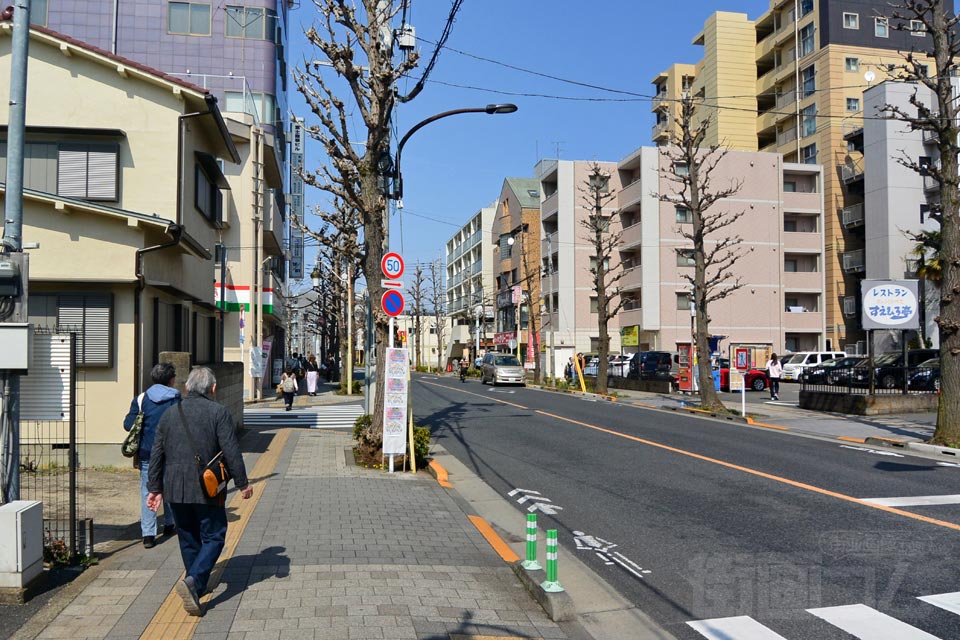 大学通り