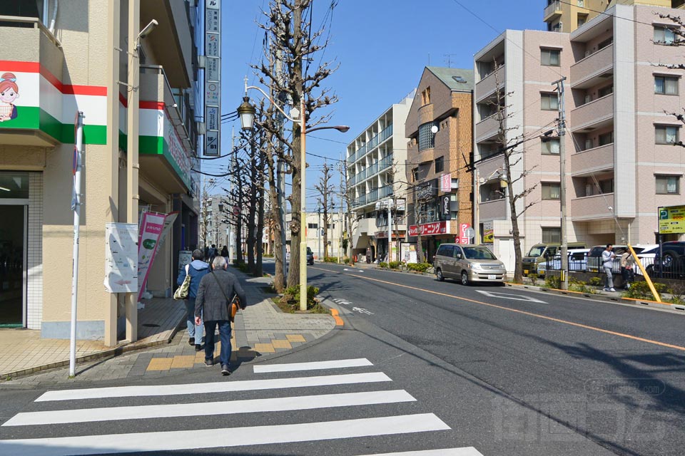 大学通り