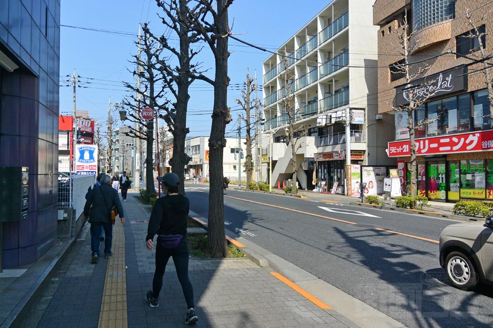 大学通り