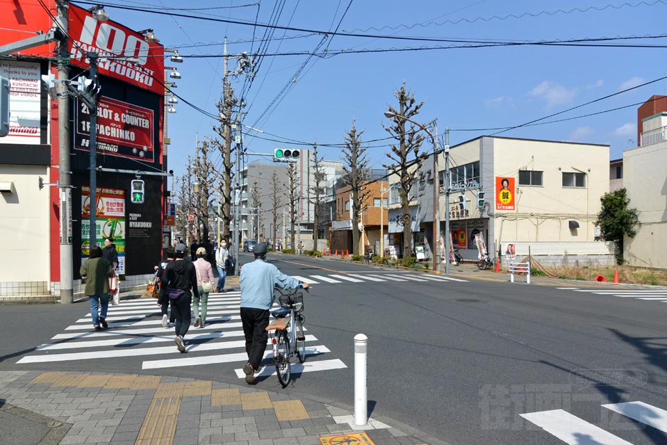 大学通り