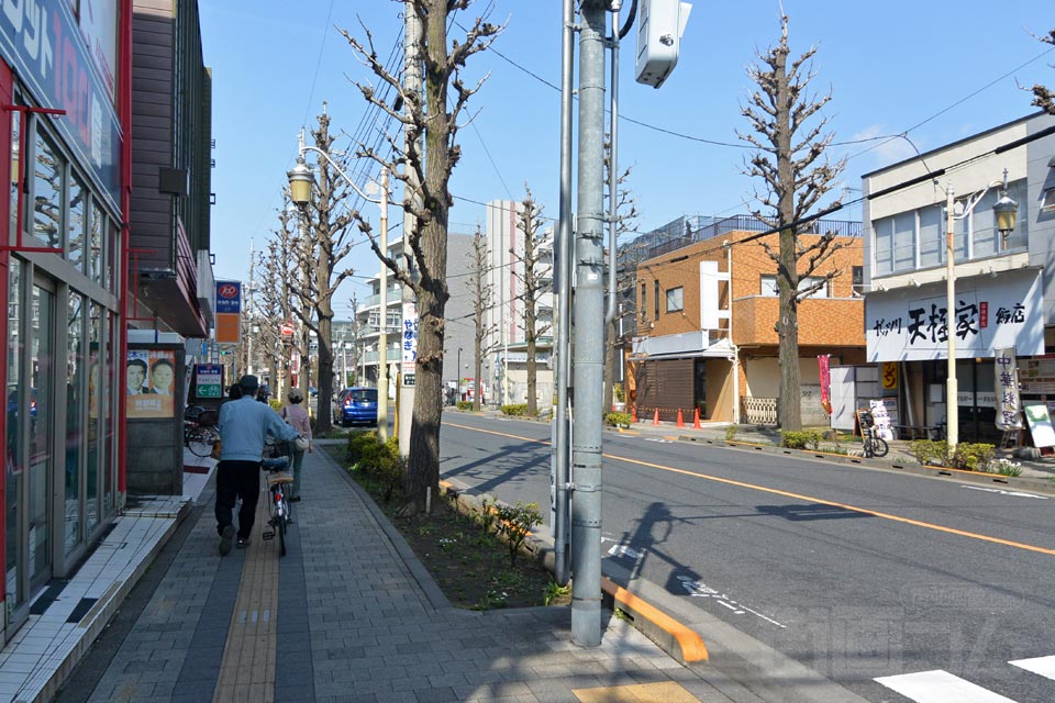 大学通り