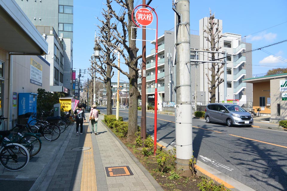 大学通り