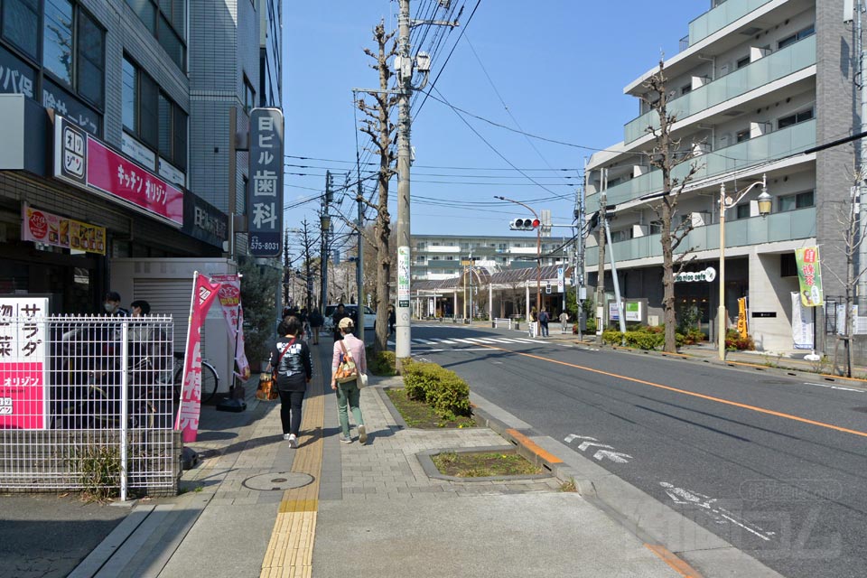 大学通り