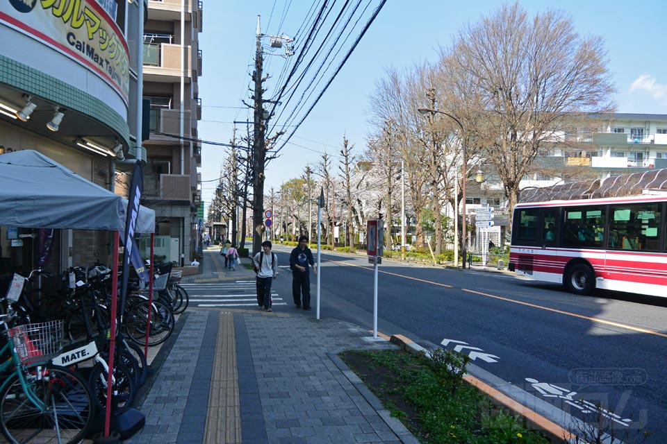 大学通り