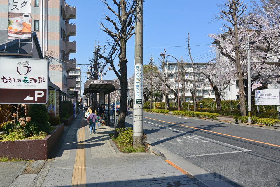 大学通り