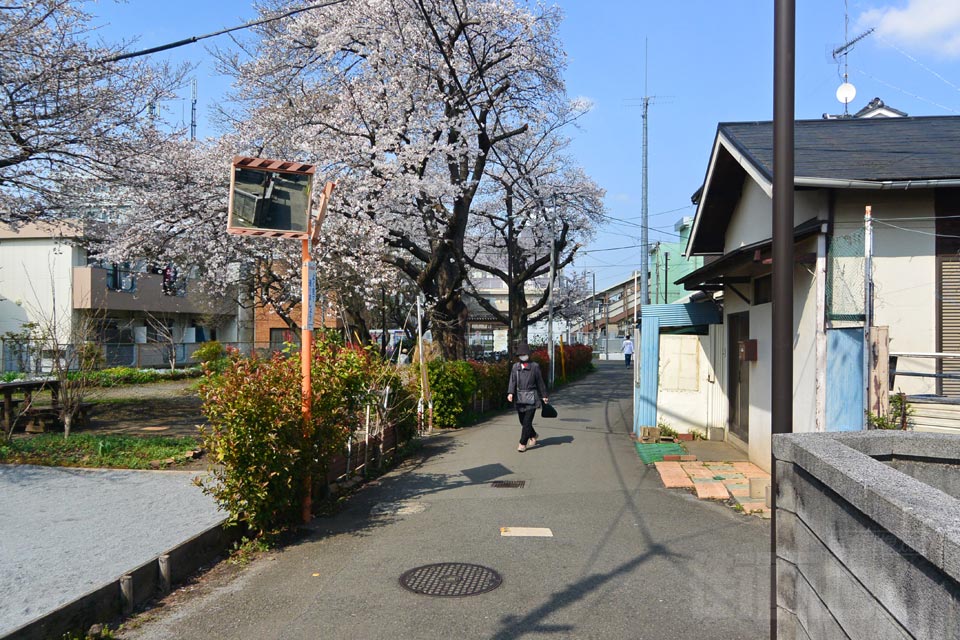 谷保駅南口緑地