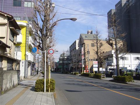 大学通り写真画像
