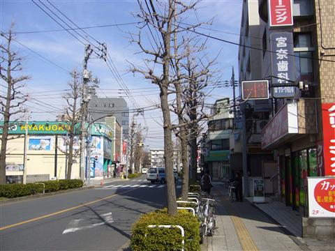 大学通り写真画像