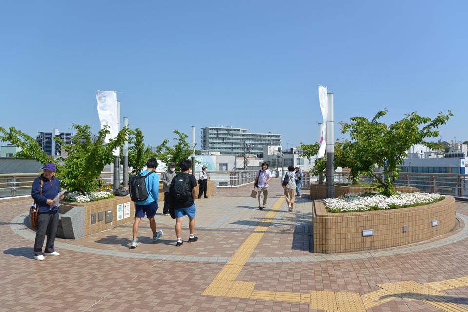 小田急東海大学前駅南口前