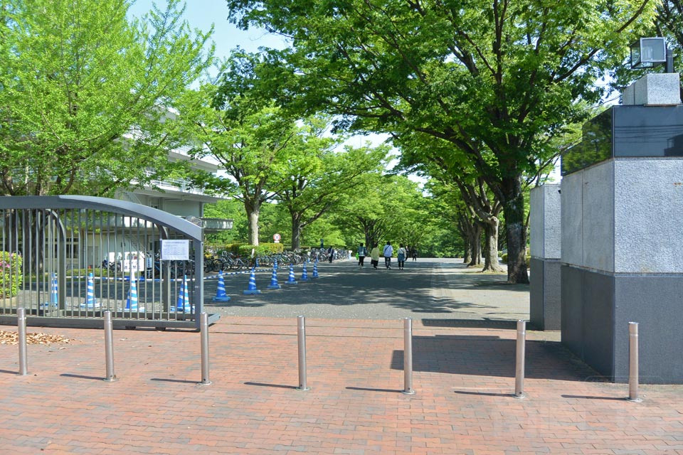 東海大学 湘南キャンパス北門通り