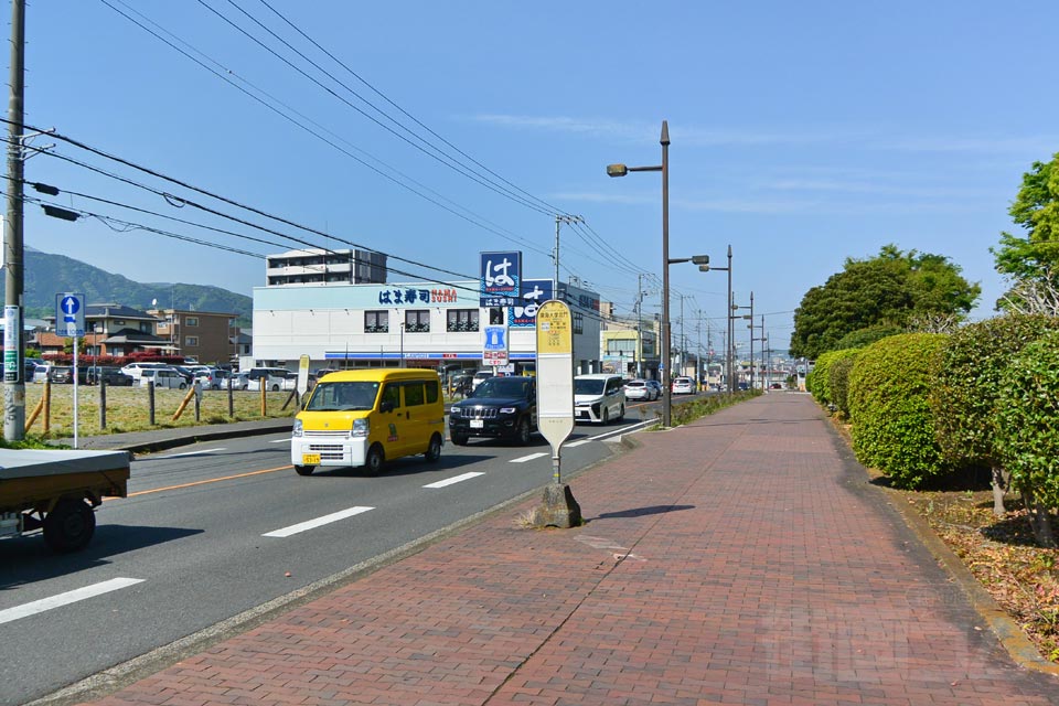 東海大学北門バス停