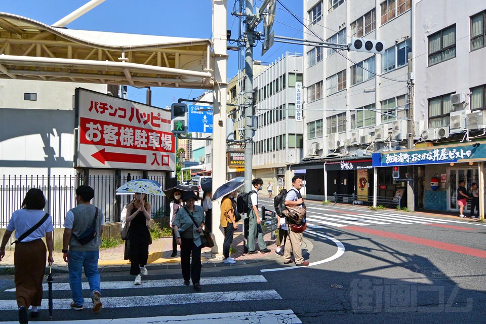 国道135号線