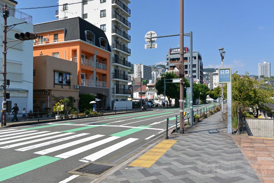 国道135号線