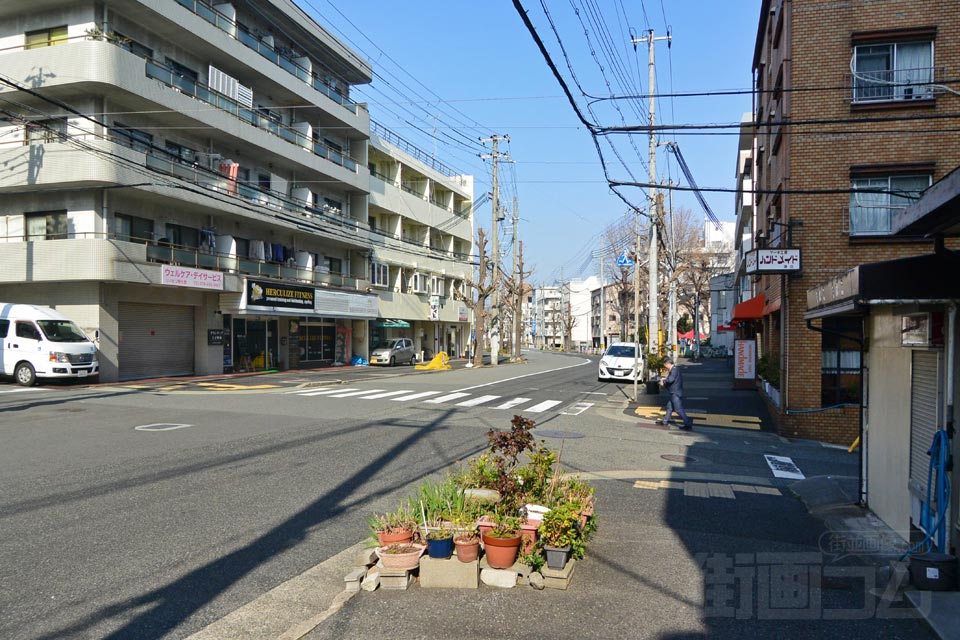 神若線