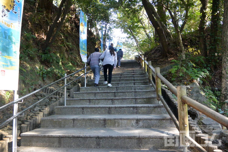 桂浜公園に続く石段を登る