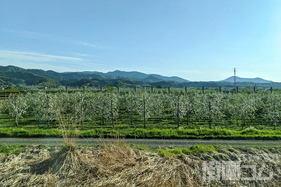 特急つがるの車窓に広がる津軽平野とリンゴ畑